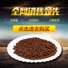 计划明年要出海了!小米汽车海外账号已上线 社媒和官网都已开启
